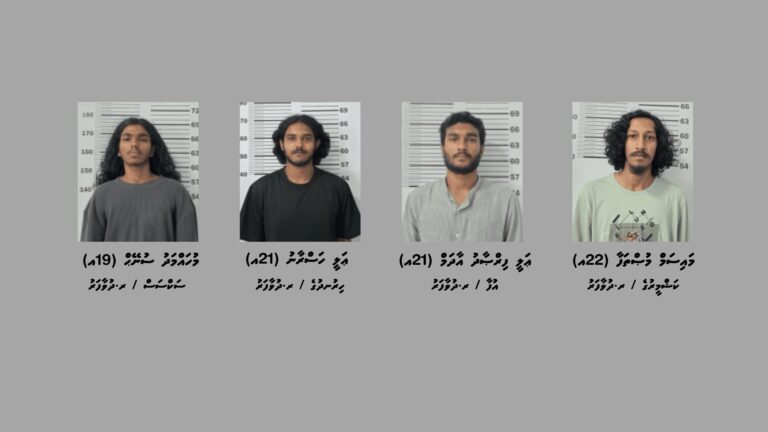 ދުވާފަރުން މަސްތުވާތަކެއްޗާއެކު ހައްޔަރުކުރި މީހުން
